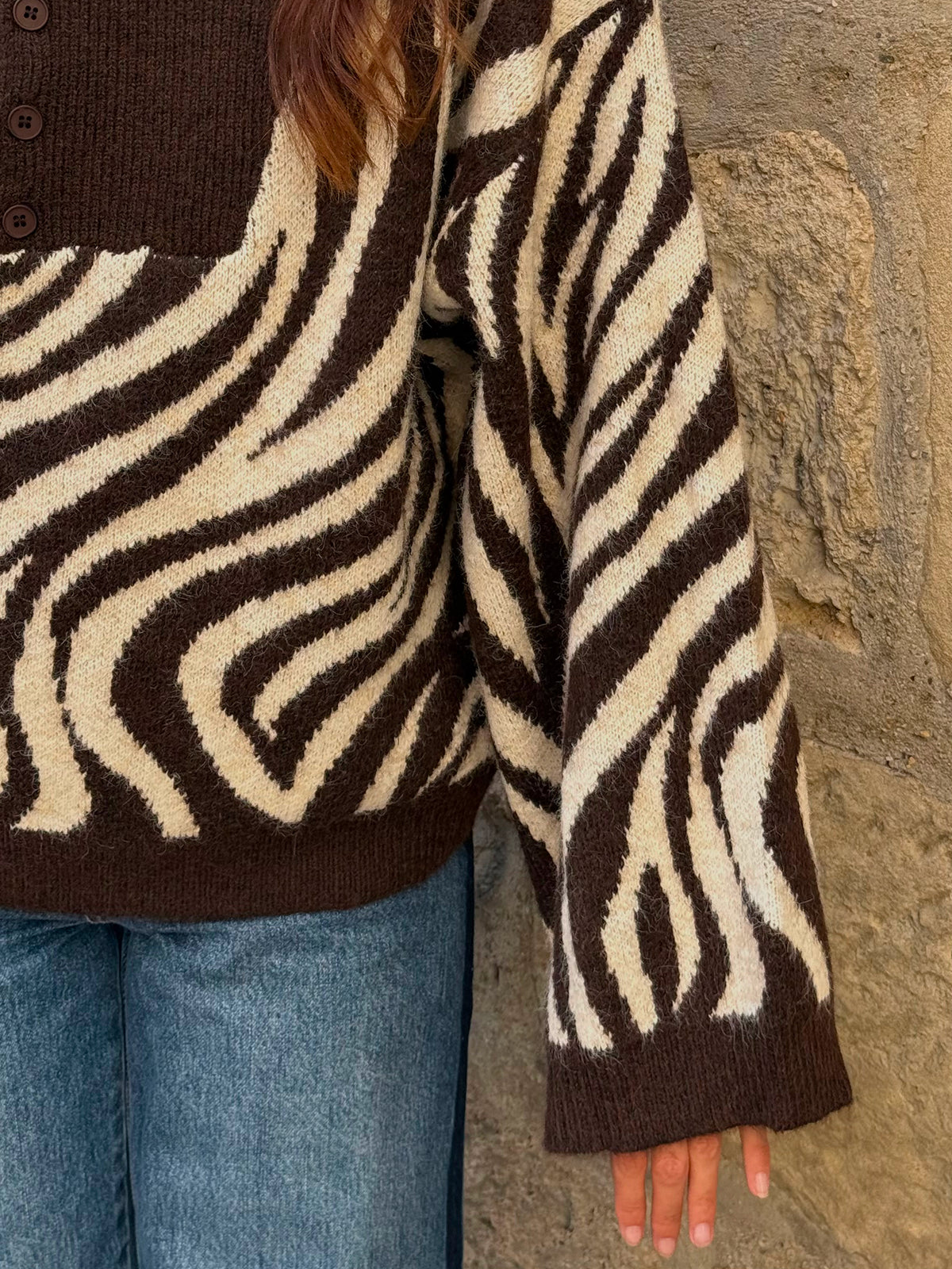 Pull à motif Zèbre Maeva