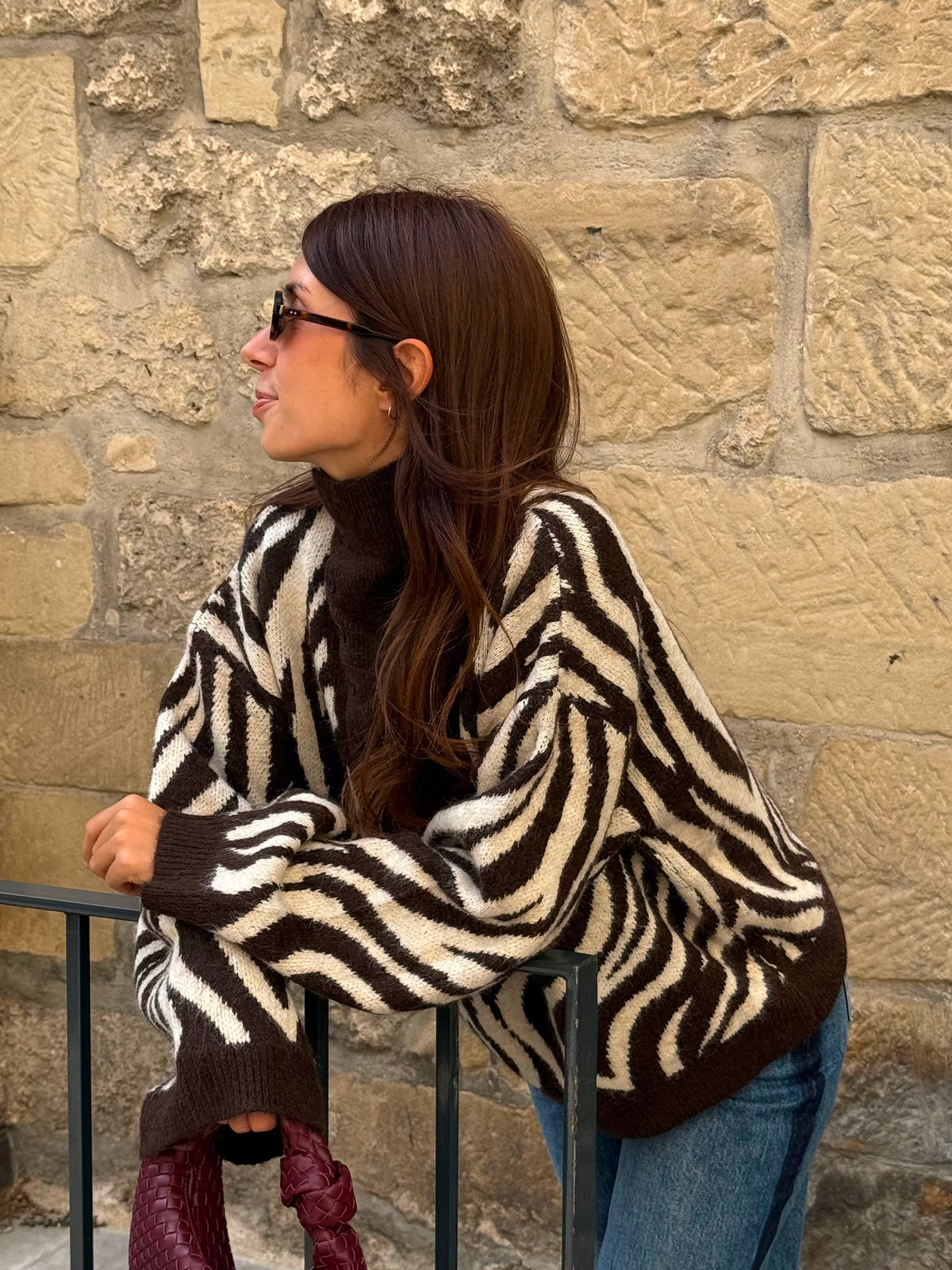 Pull à motif Zèbre Maeva